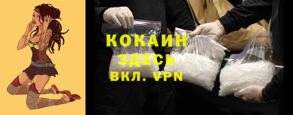 стафф Арсеньев