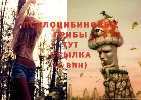 стафф Арсеньев