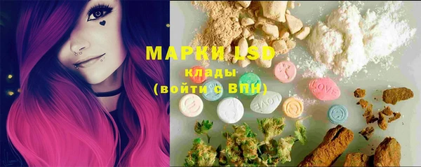 стафф Арсеньев